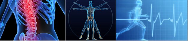 denver-musculoskeletal-pain-management